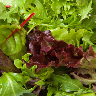 Salad Leaf Collection